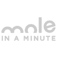 mode in a minute