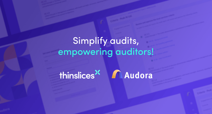 Thinslices & Audora - Bringing automation in the audit world featured image